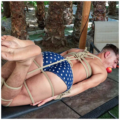 4th of July: A tied up Benvi on top of a picnic table with an apple in his mouth